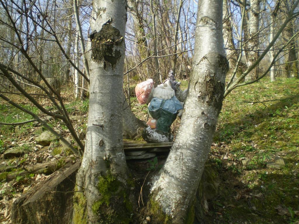 Penzion I 3 Porcellini Cutigliano Exteriér fotografie