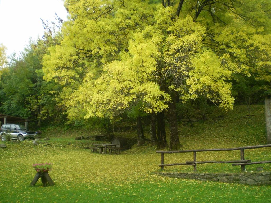 Penzion I 3 Porcellini Cutigliano Exteriér fotografie